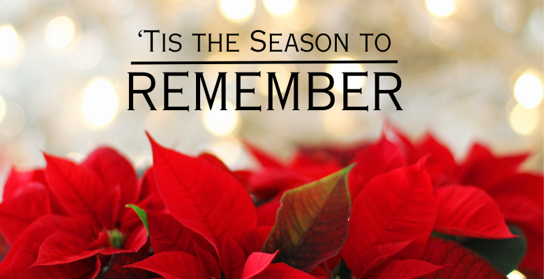 Christmas 2024 Poinsettia780 X 400 Px