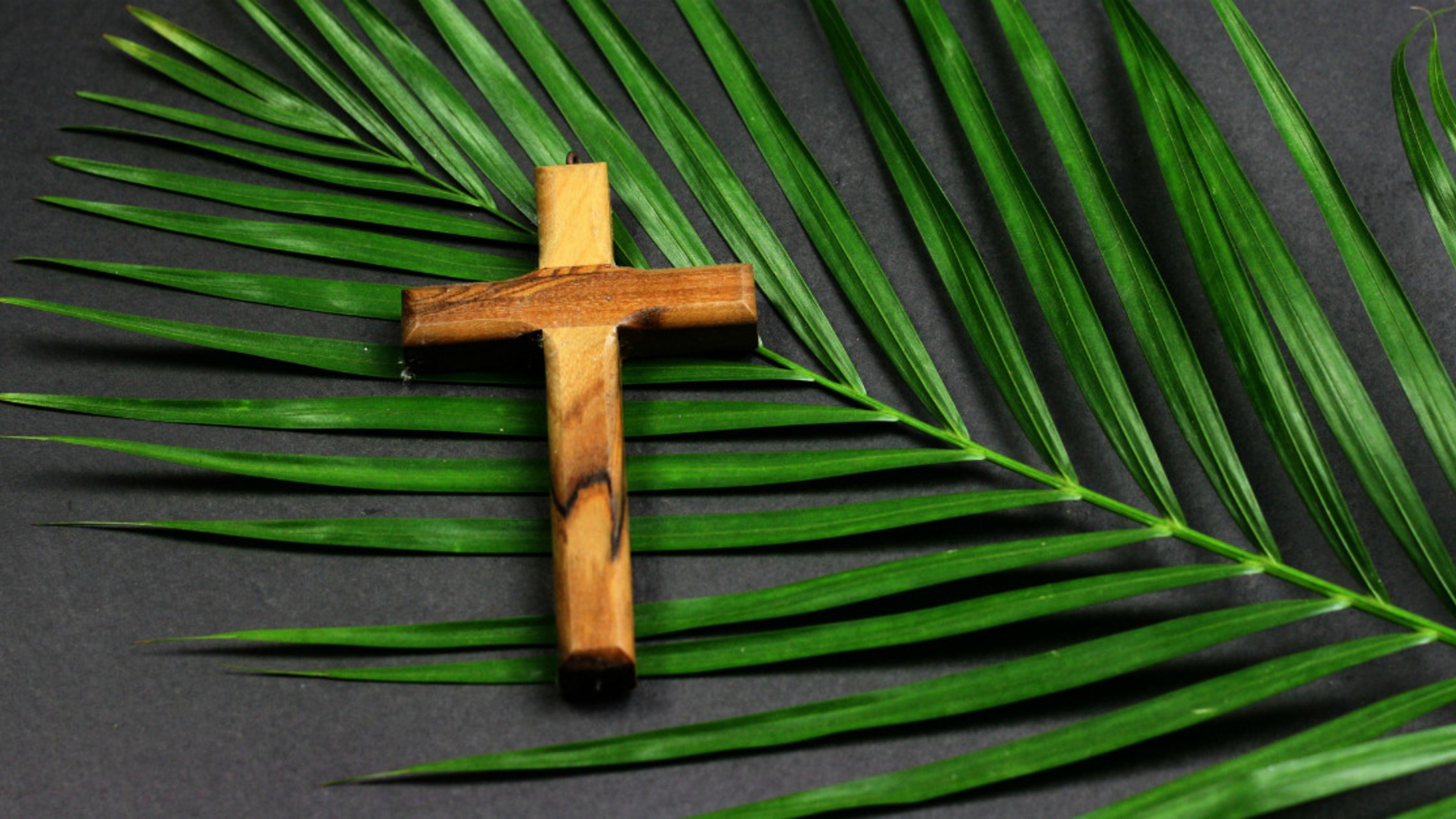 9166 Palm Sunday Easter Wooden Cross On Palm Getty